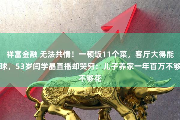祥富金融 无法共情！一顿饭11个菜，客厅大得能打球，53岁闫学晶直播却哭穷：儿子养家一年百万不够花