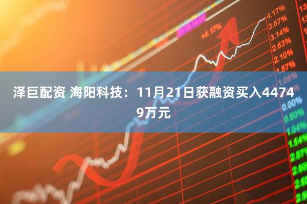 泽巨配资 海阳科技：11月21日获融资买入44749万元