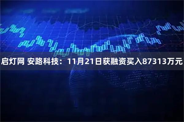启灯网 安路科技：11月21日获融资买入87313万元