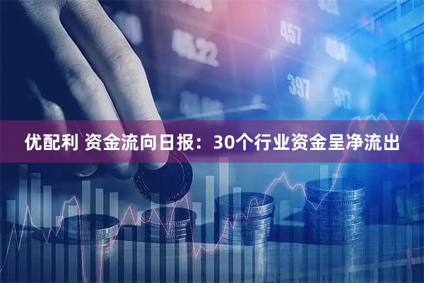 优配利 资金流向日报：30个行业资金呈净流出