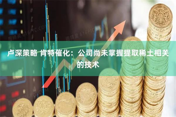 卢深策略 肯特催化：公司尚未掌握提取稀土相关的技术