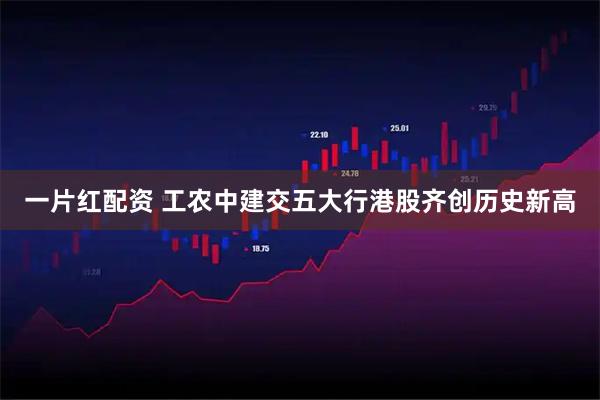 一片红配资 工农中建交五大行港股齐创历史新高